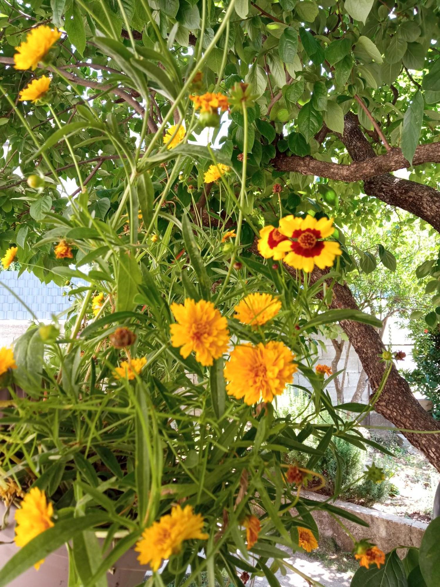 Summer House With Heated Swimming Pool Mostar Phòng bức ảnh